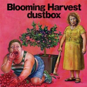 Blooming Harvest